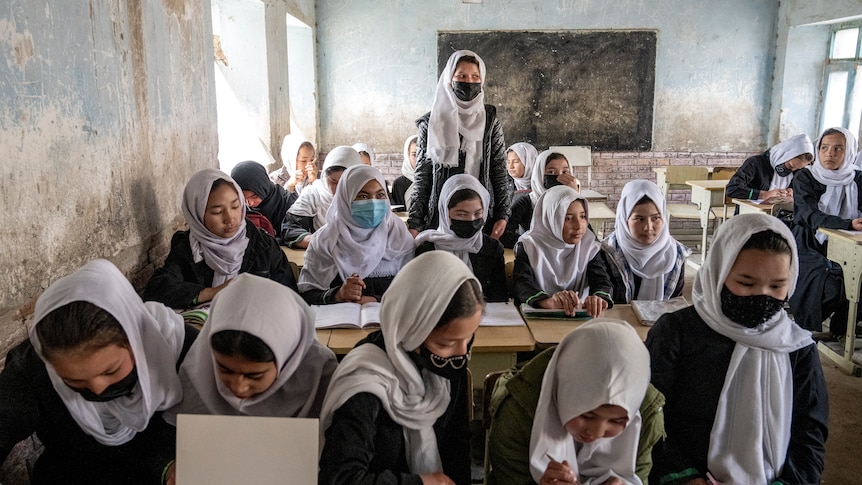 a generic photo of young girls in an afghan school 