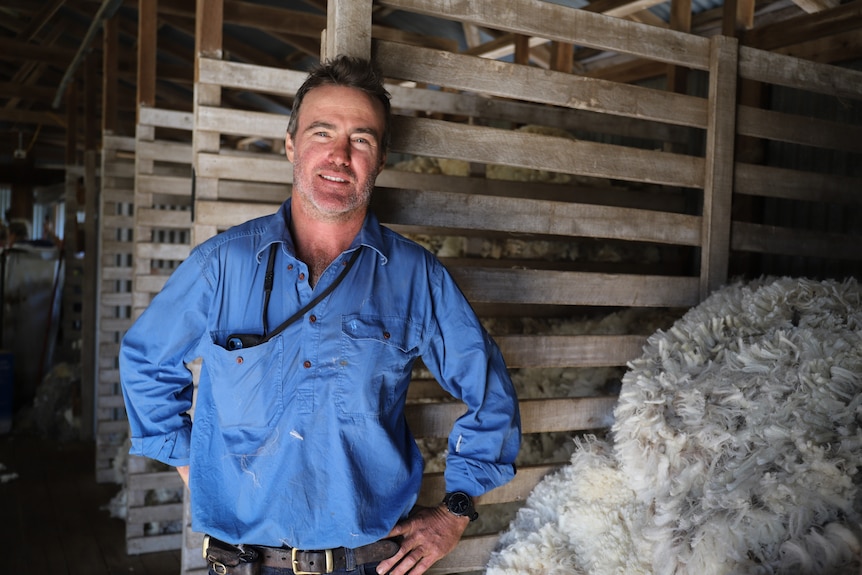 A man in a long-sleeved blue shirt stands near wool.