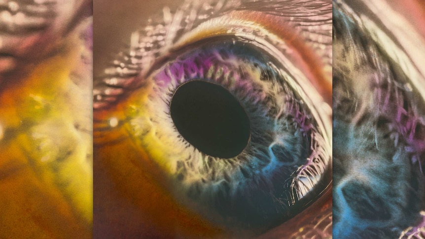 An ultra close up photograph of an eye on the cover of Arcade Fire's album We