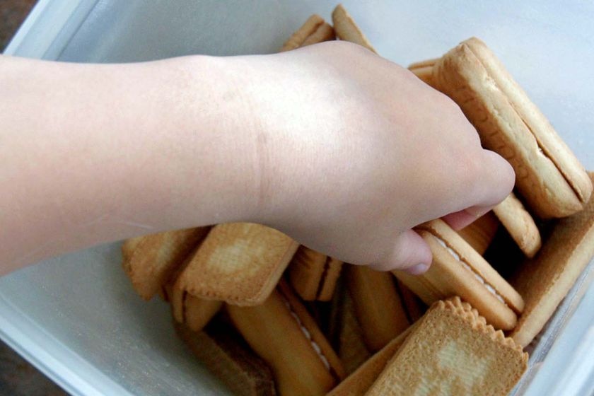 A child's hand reaches into a biscuit container