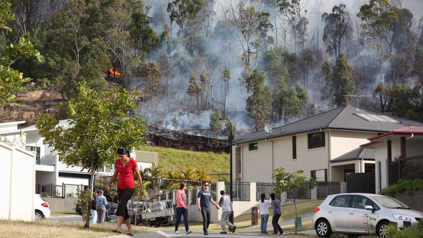 Residents survey a bushfire in Mitchelton