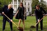 Composite of Donald Trump and Emmanuel Macron planting tree at White House, and missing tree