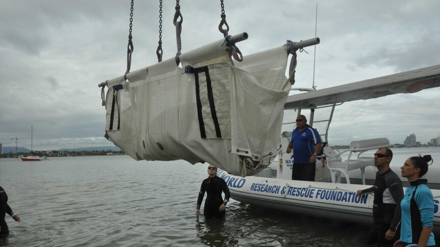 Merimbula being released into Moreton Island