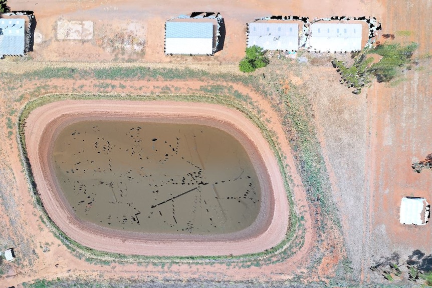 An image of a dam from the sky, taken with a 3D drone