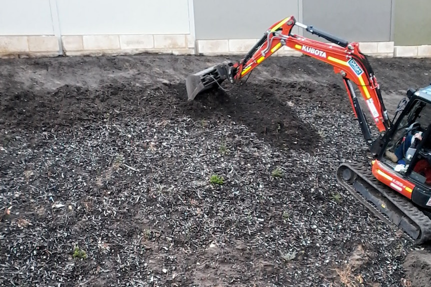 A bobcat on sloping land removes mulch