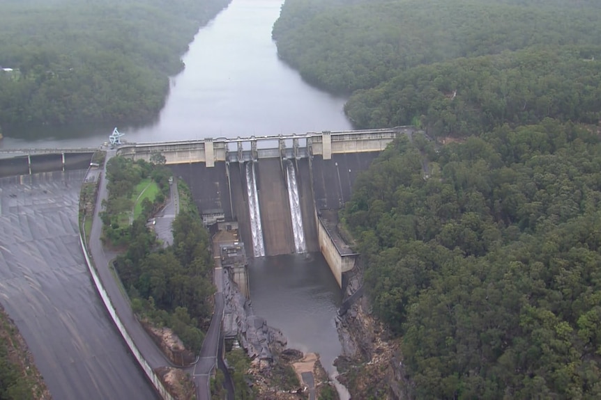 An aerial view of a dam in a river with forest to the side. Water is coming down the dam wall in two streams.