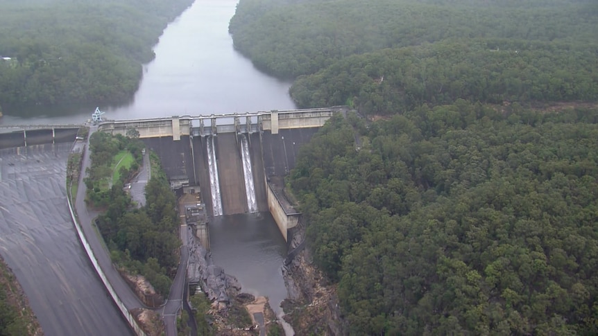 An aerial view of a dam in a river with forest to the side. Water is coming down the dam wall in two streams.
