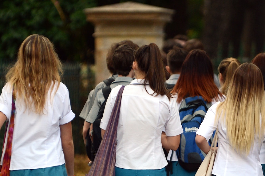 the back of a group of high school female students