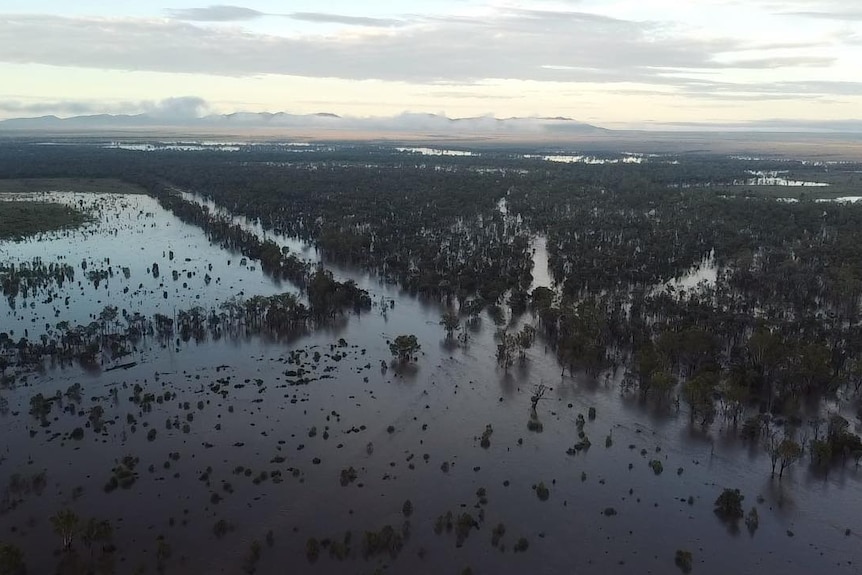 An aerial shot of vast floodwaters in an unpopulated area.