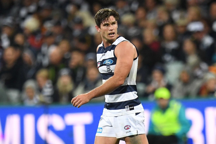 Tom Hawkins will face close scrutiny from the AFL's match review panel.