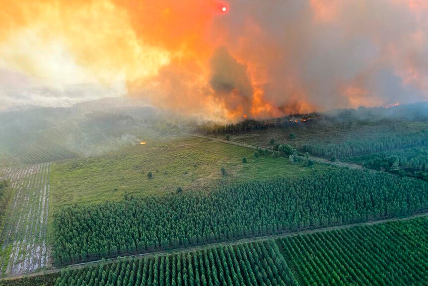 W pobliżu Landeras w południowo-zachodniej Francji szaleje pożar lasu