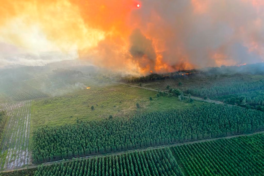 A wildfire rages near Landiras, southwestern France