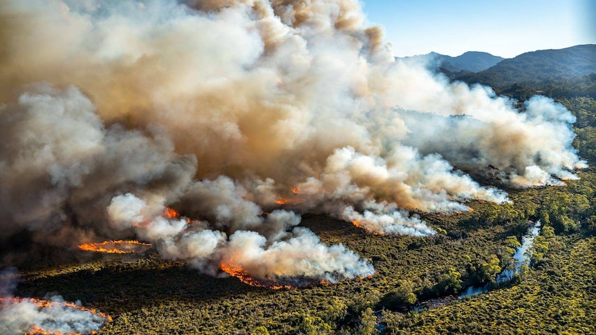 Bushfire in Tasmanian wilderness, January 2019, photo by Parks and Wildlife Service.
