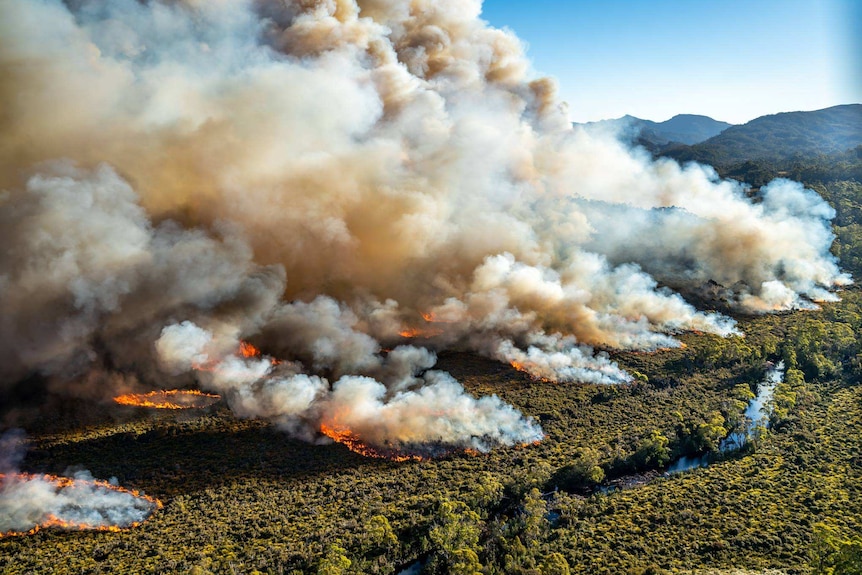 Bushfire in Tasmanian wilderness, January 2019, photo by Parks and Wildlife Service.