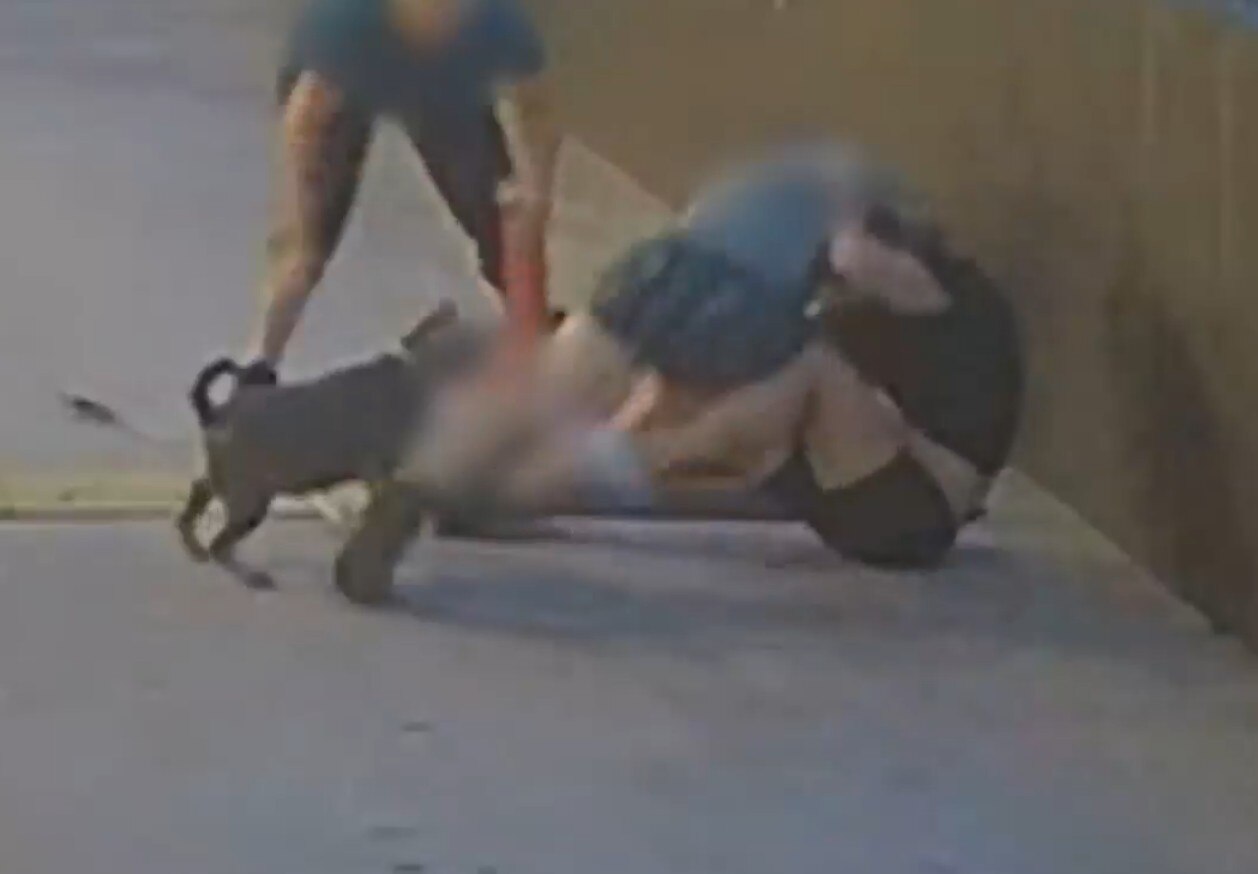 Bystanders praised as heroes after stopping violent attack