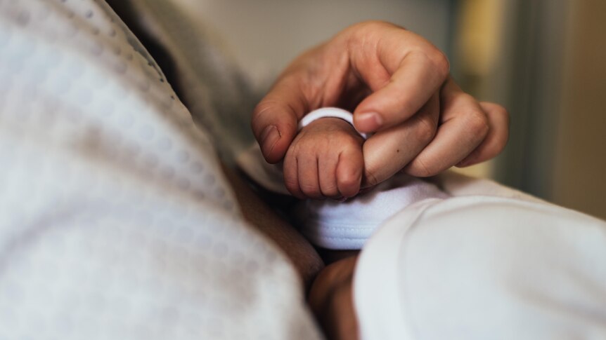 An adult hand holding the hand of a newborn baby