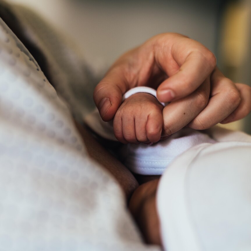 An adult hand holding the hand of a newborn baby