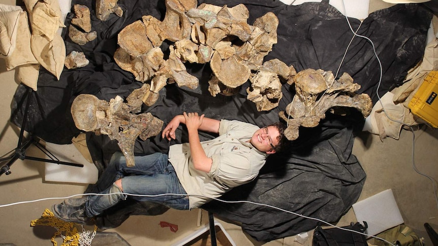 Dr Stephen Poropat with five back vertebrae of a new species of dinosaur nicknamed 'Wade' in December 2013