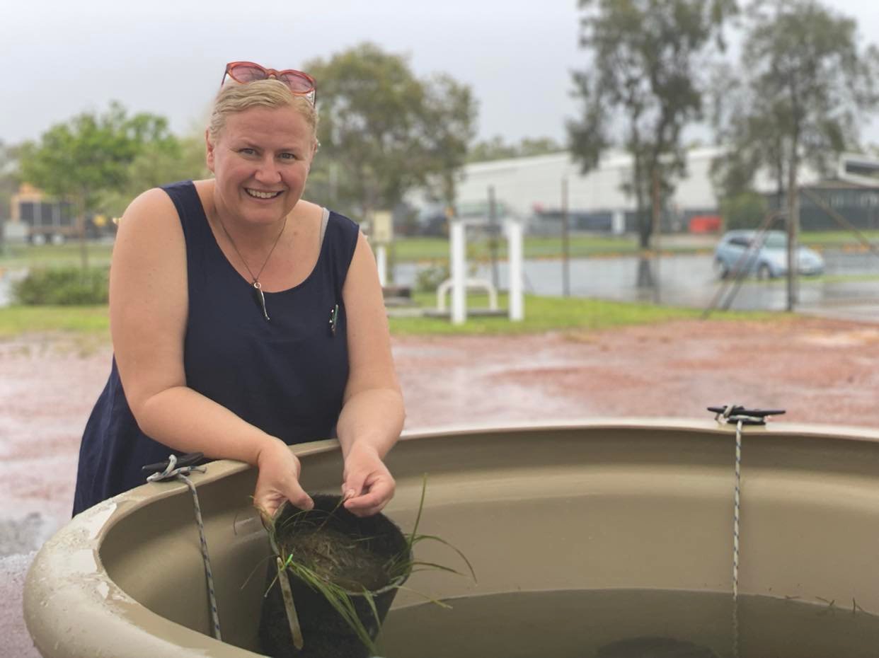 A woman stands over a large tub filled with water, holding a potted seagrass plant, mud and trees are visible behind.