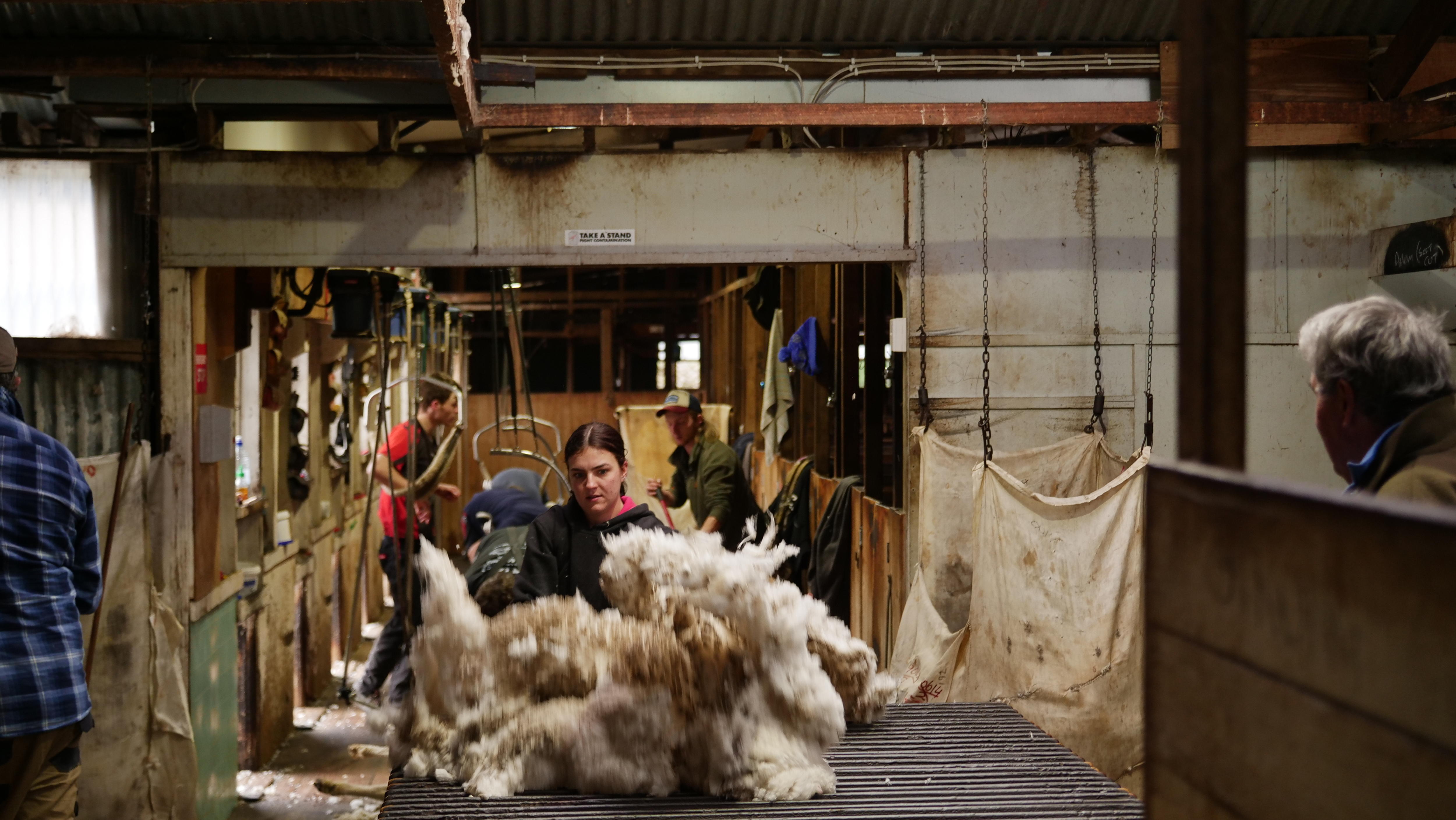 young woman tossing a fleece on the table for classing