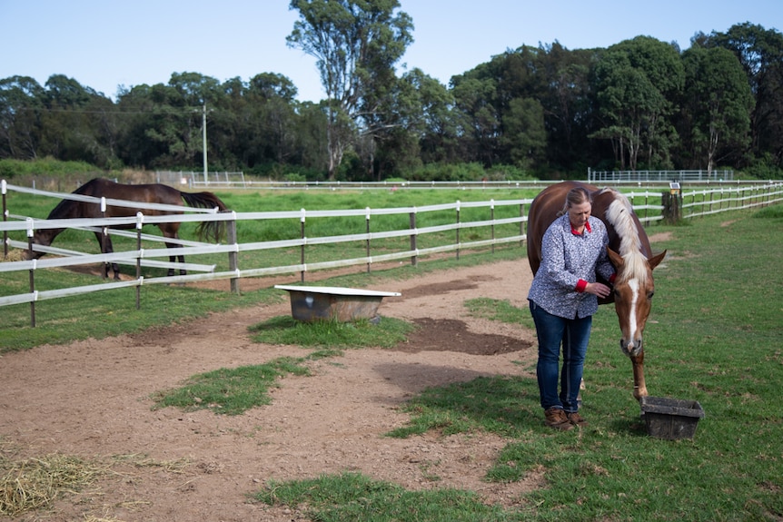 A woman feeds one horse while another grazes in a nearby paddock.