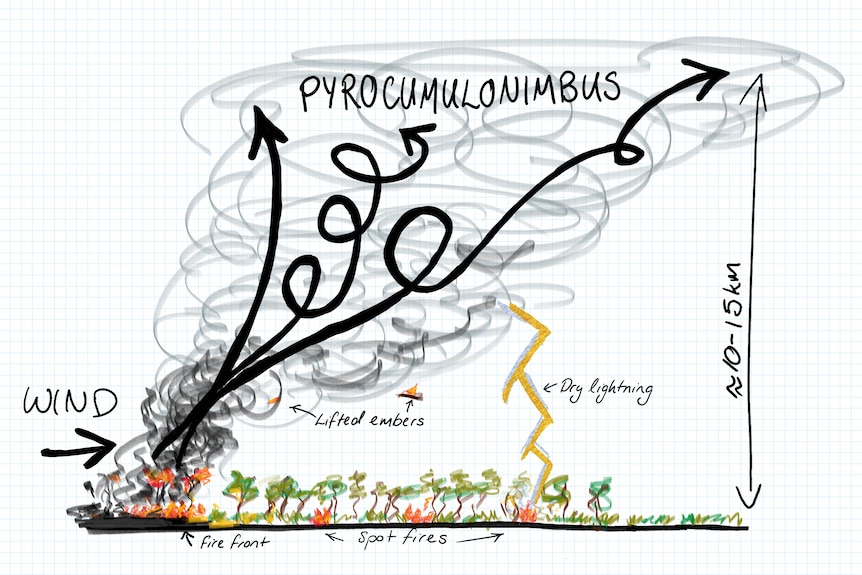 super awesome diagram showing wind going up from fire to cause massive storm cloud, spot fires and dry lightning