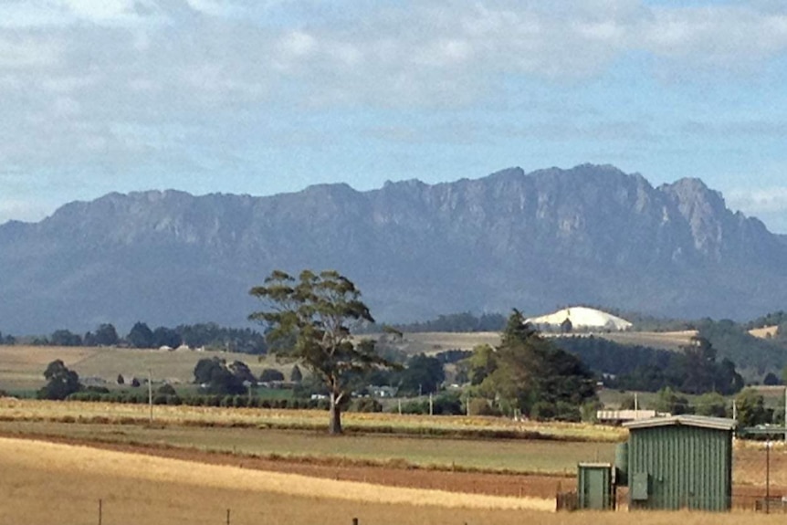 The woman's body was found 200 metres from Mount Roland's summit.