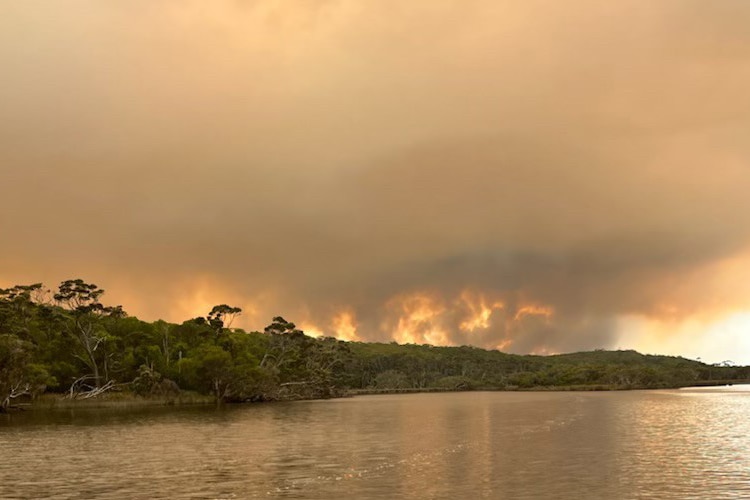 Fire and smoke behind a line of trees, viewed across a river.