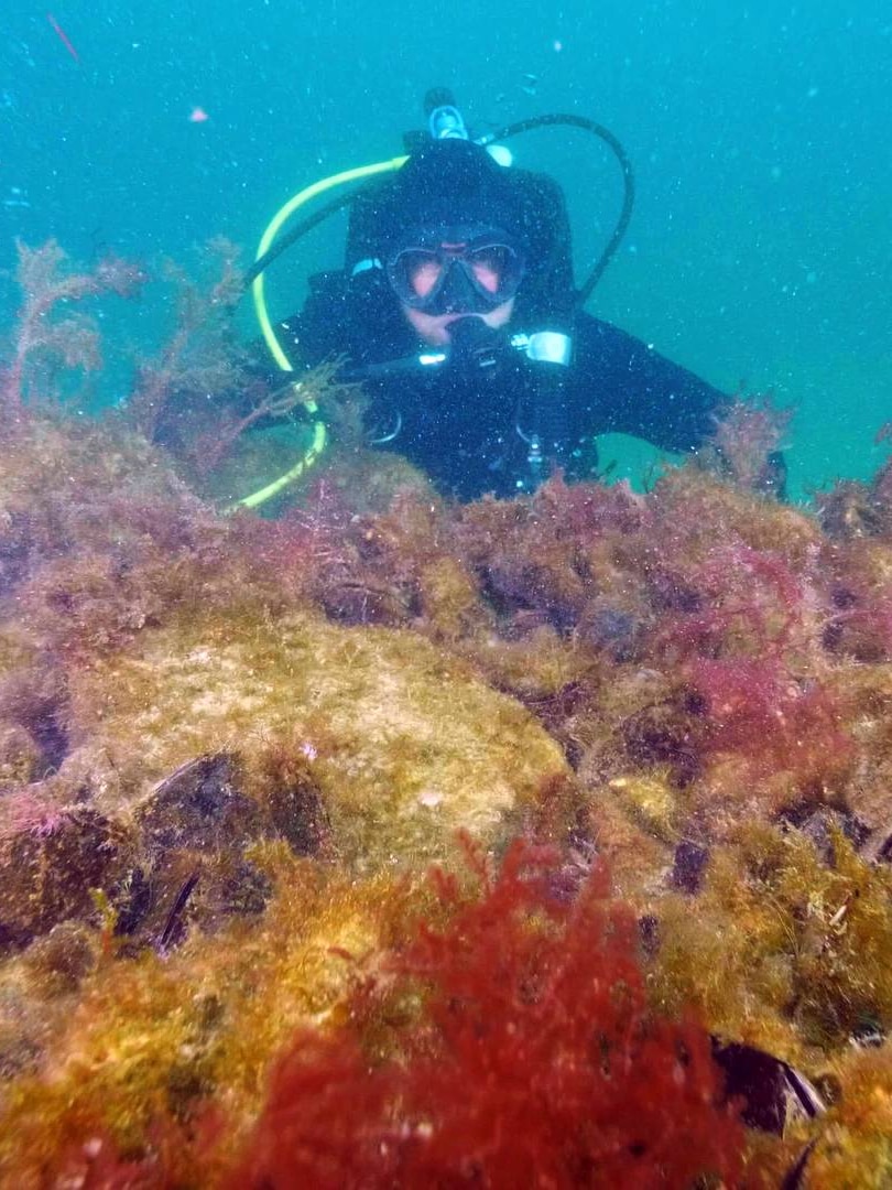 Restoring Australia's lost shellfish reefs to reshape a vast underwater kingdom thumbnail