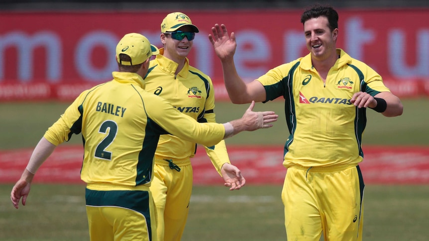Australia's Daniel Worrall celebrates the wicket of Ireland's Gary Wilson in an ODI in Benoni.