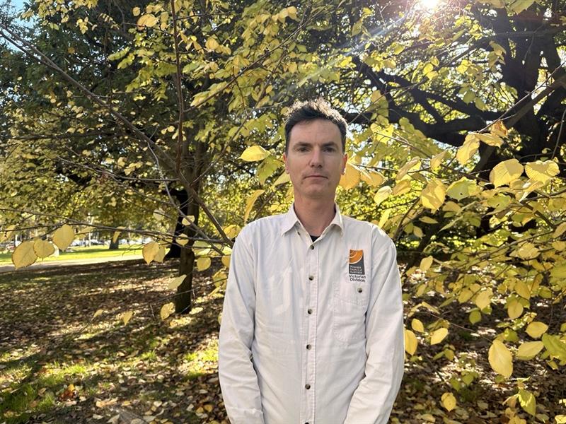 Un hombre vestido con una camisa beige se para frente a un árbol de hoja caduca amarillo con las manos una frente a la otra. Luz solar filtrada.