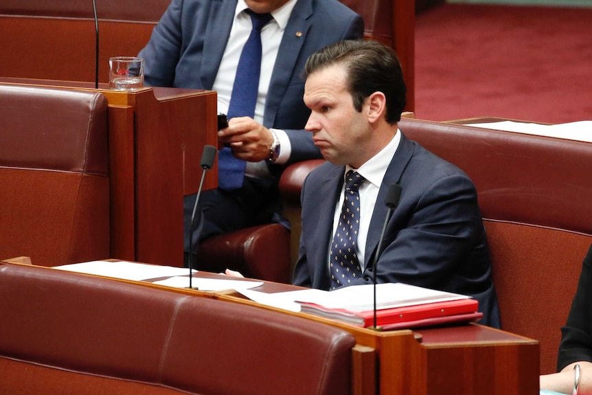 Nationals Senator Matt Canavan in the Senate chamber (8 August 2017)