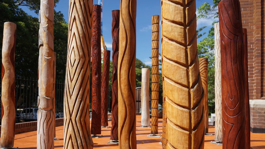 Dendroglyphs on display at Mosman Art Gallery