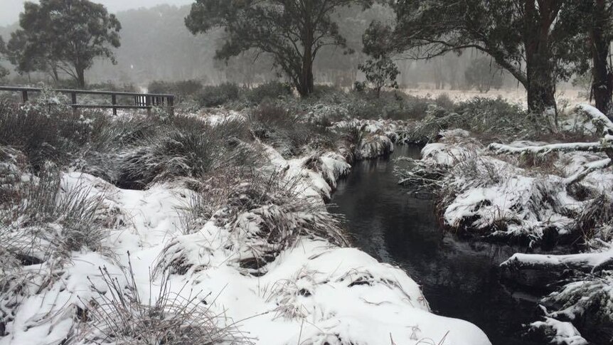 A creek running through low scrub covered in snow.