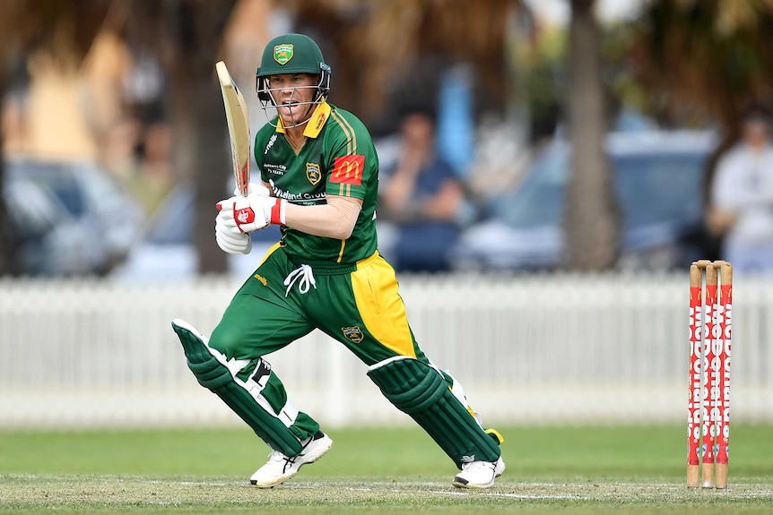 David Warner bats for Randwick-Petersham