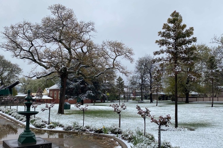 Light dusting of snow covers parks and gardens in Ballarat