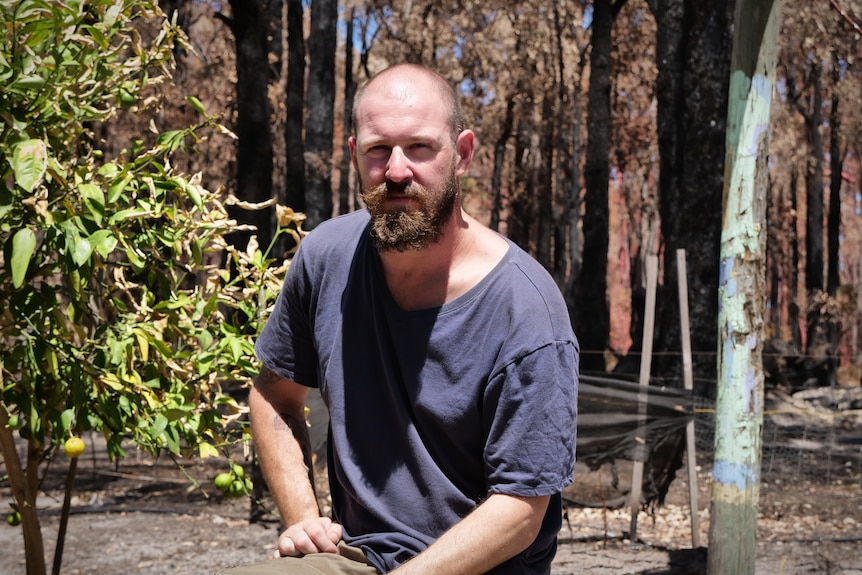 A man in a blue shirt stands behind a green tree and burnt forest