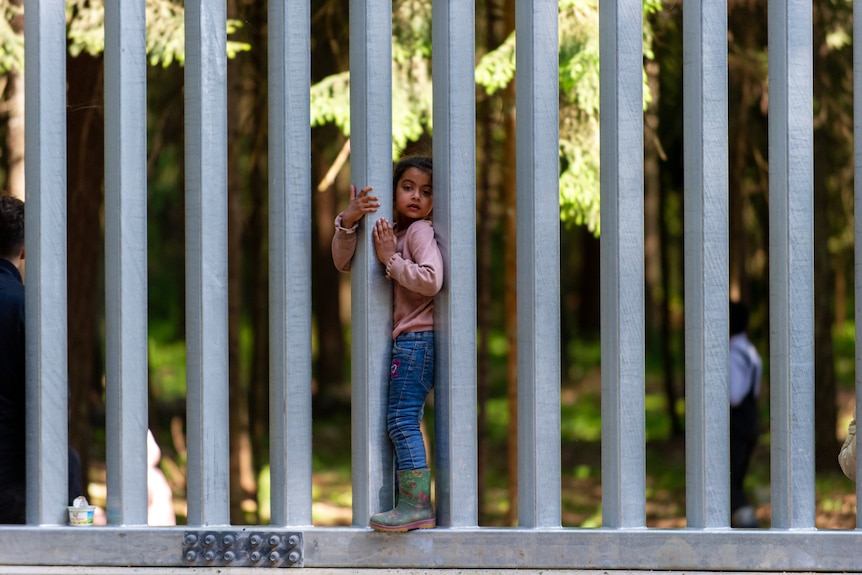 A young girl in a pink jumper stands on a ledge and leans through the steel border fence  