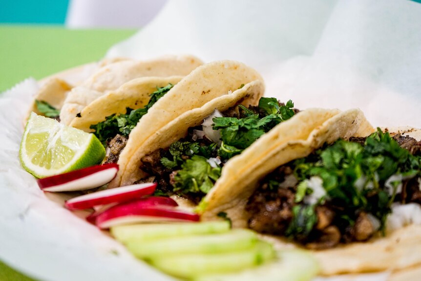 Picture of three tacos on a white plate with lime on the side, stuffed with brown mince meat and green herbs sprinkled on top.