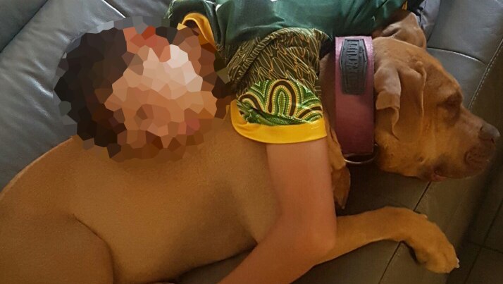 A child hugs a dog on the couch.