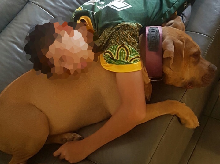 A child hugs a dog on the couch.