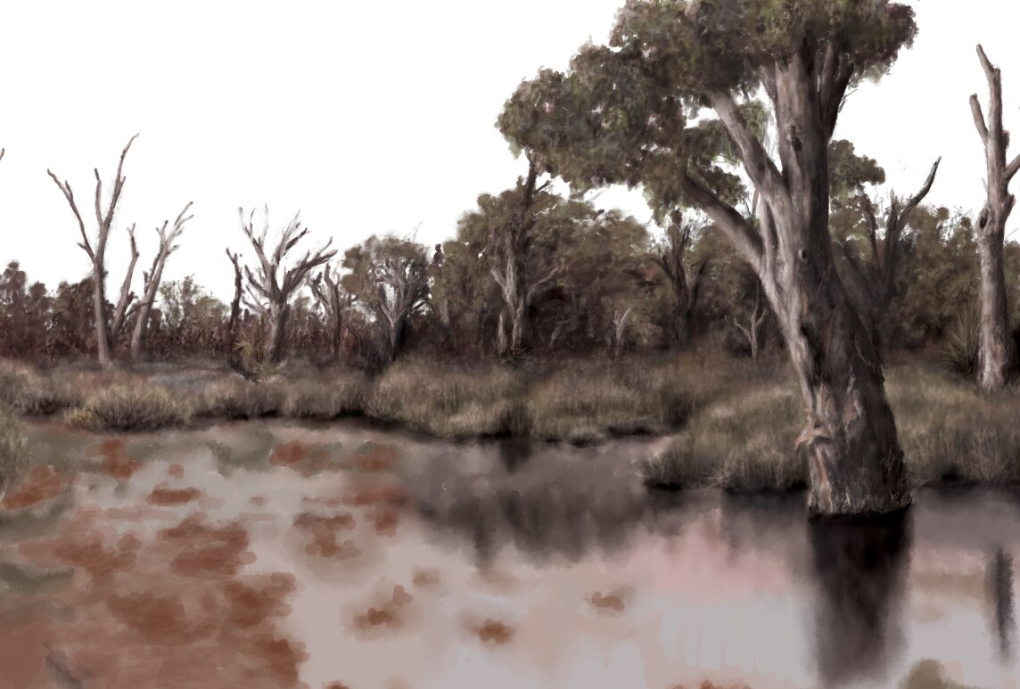 A drawing of a muddy lake bed