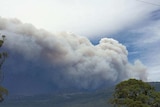 Smoke billows from bushfires on the top of a large hill in the distance.