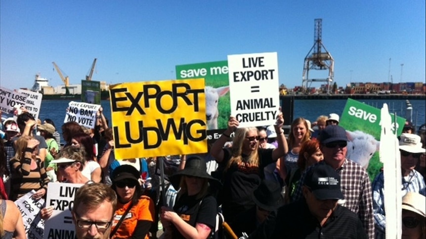 Protesters gathered at Fremantle port