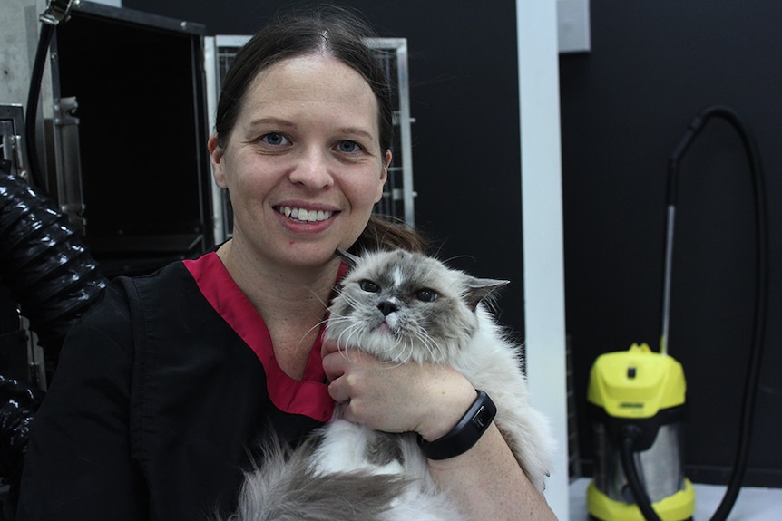 Cat groomer Sarah Warner holding grey and white ragdoll cat Misty in her Brisbane salon.