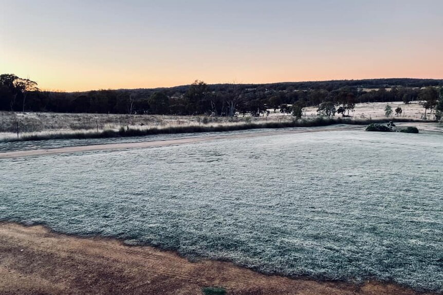 Morning frost over paddocks