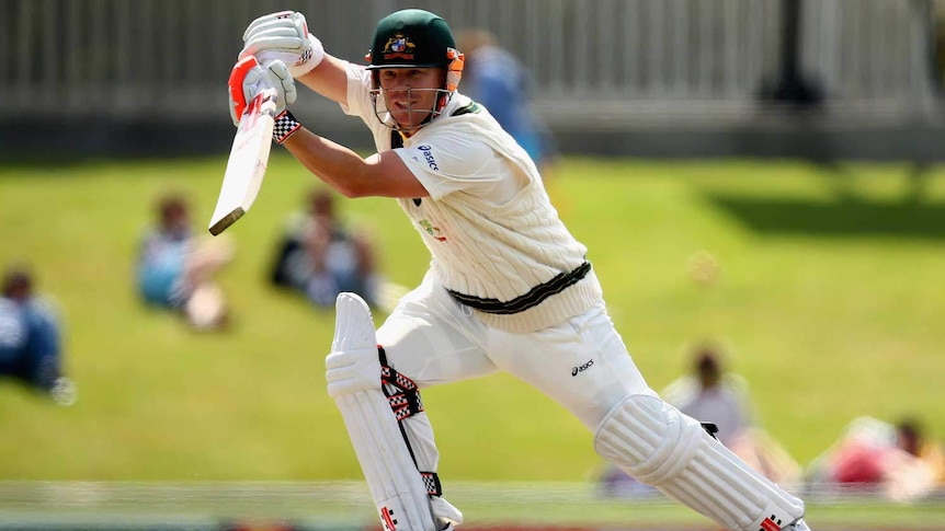 Half ton ... David Warner was 54 not out at lunch (file photo)