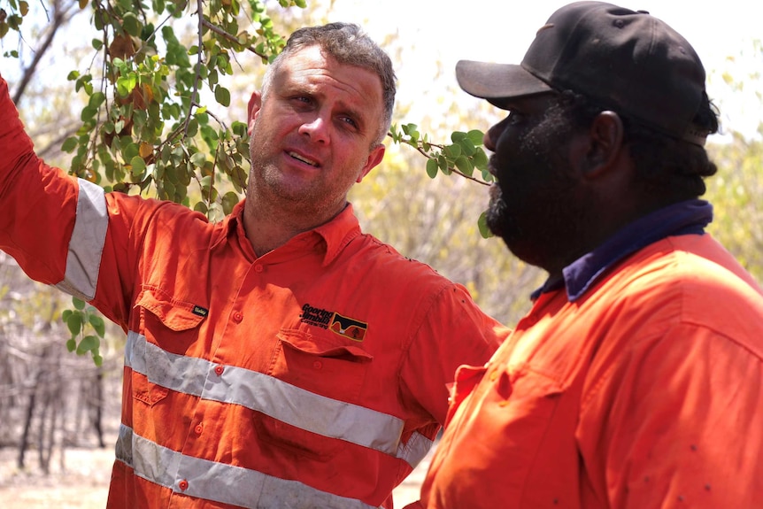 A white and indigenous man standing next to each other in orange high visibility work shirts pointing at tree
