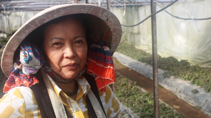 A woman with a traditional Vietnamese at stands in a shed in front of rows of herbs.