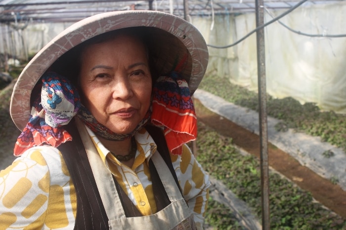 A woman with a traditional Vietnamese at stands in a shed in front of rows of herbs.